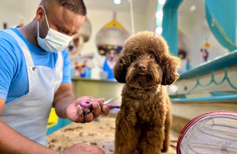Professional pet grooming at PETME