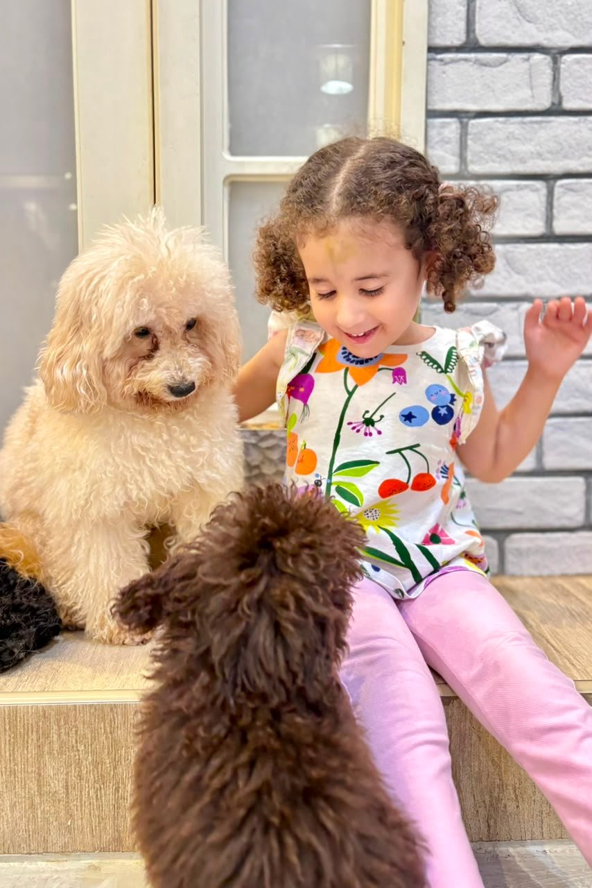 Visitors enjoying time with dogs at PETME Social Therapy Center