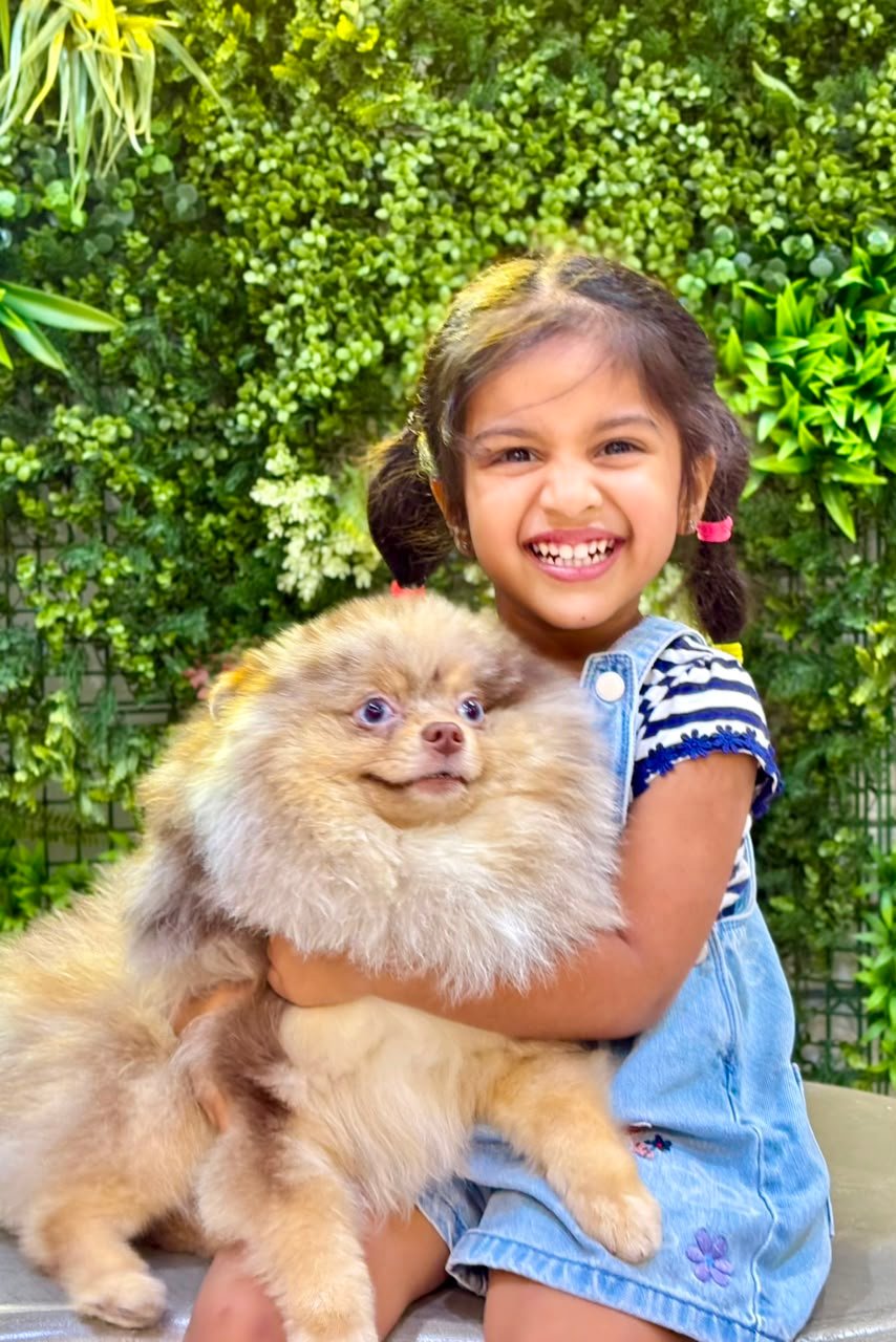 Visitors enjoying time with dogs at PETME Social Therapy Center
