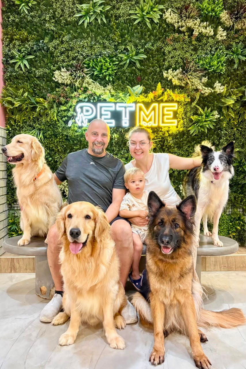 Visitors enjoying time with dogs at PETME Social Therapy Center