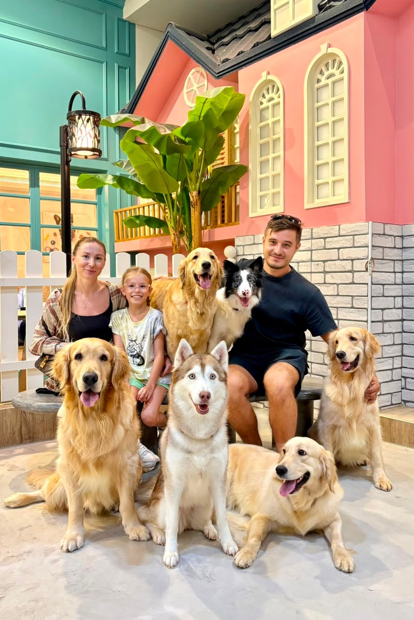 Happy dog at PETME Social Therapy Center