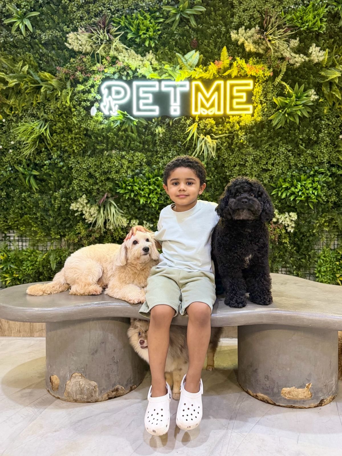 Visitors enjoying time with dogs at PETME Social Therapy Center