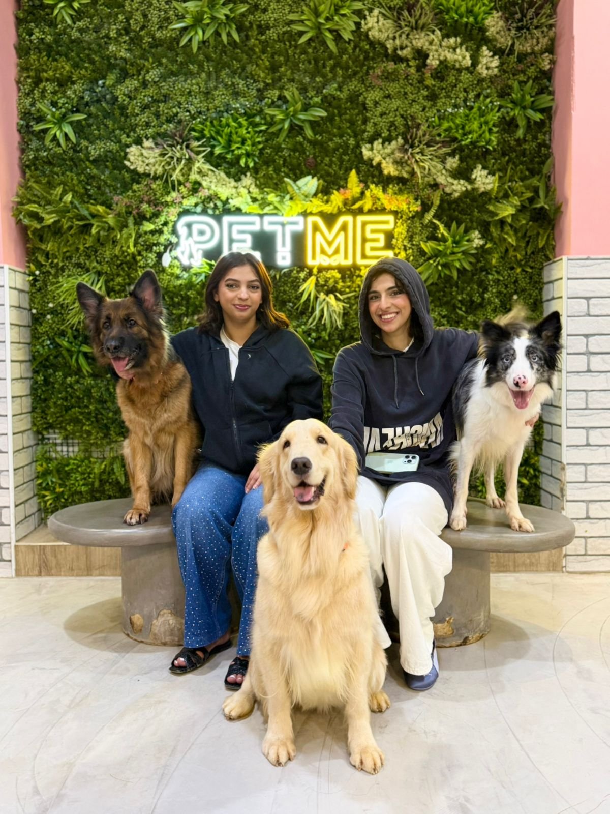 Visitors enjoying time with dogs at PETME Social Therapy Center