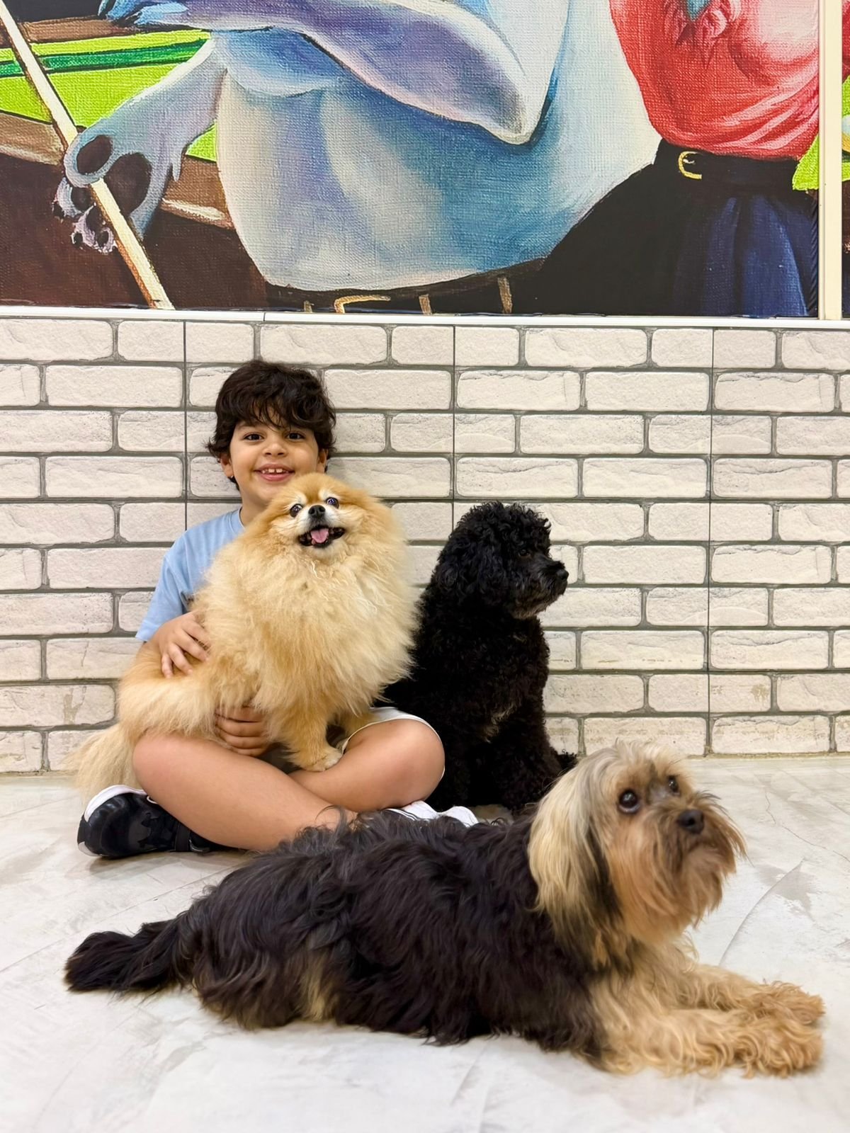 Happy dog at PETME Social Therapy Center